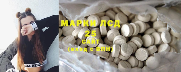 PSILOCYBIN Алзамай