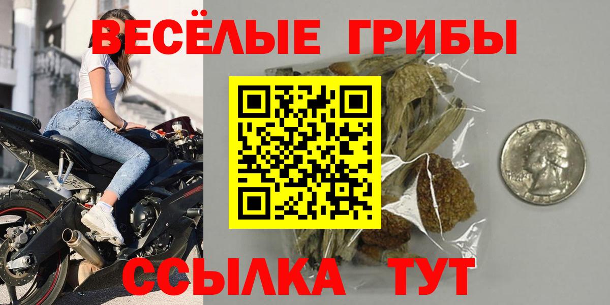 Псилоцибиновые грибы ЛСД Апшеронск