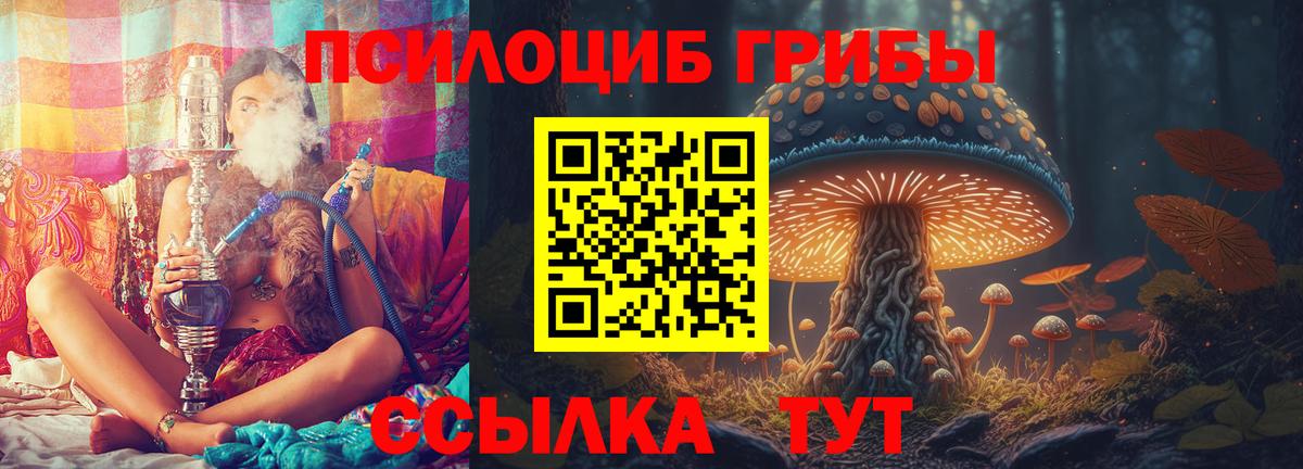 Галлюциногенные грибы прущие грибы  Галлюциногенные грибы прущие грибы  Апшеронск  Вход с VPN 